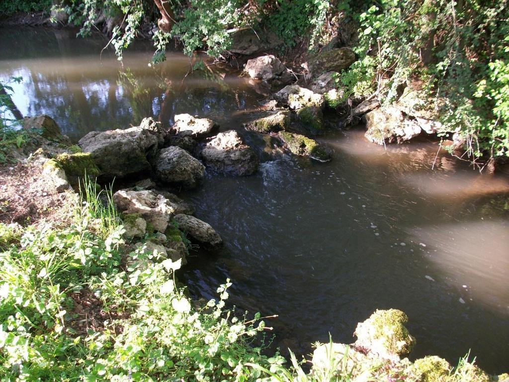 Chambre D'Hote Moulin Du Ru Aulnoy Εξωτερικό φωτογραφία